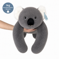 Kuschelfreund Koala