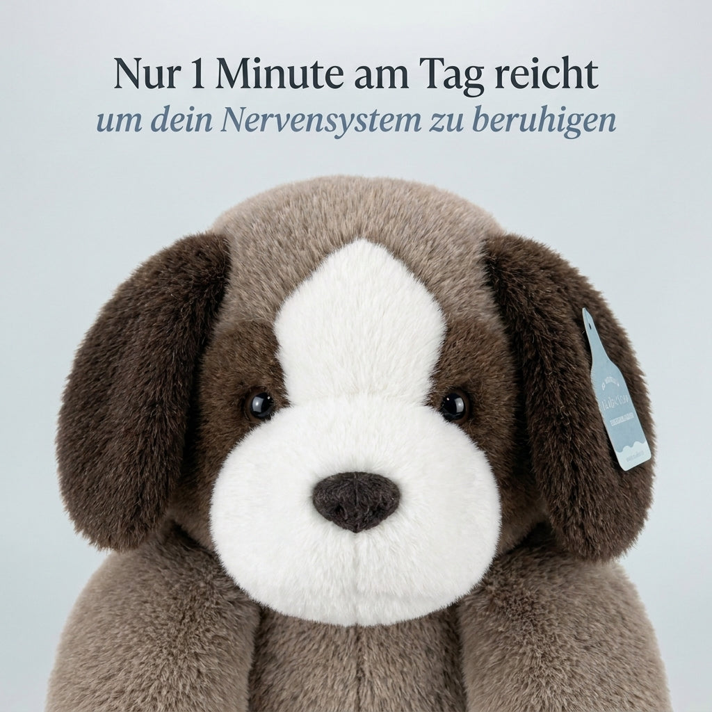 Kuschelfreund Beagle
