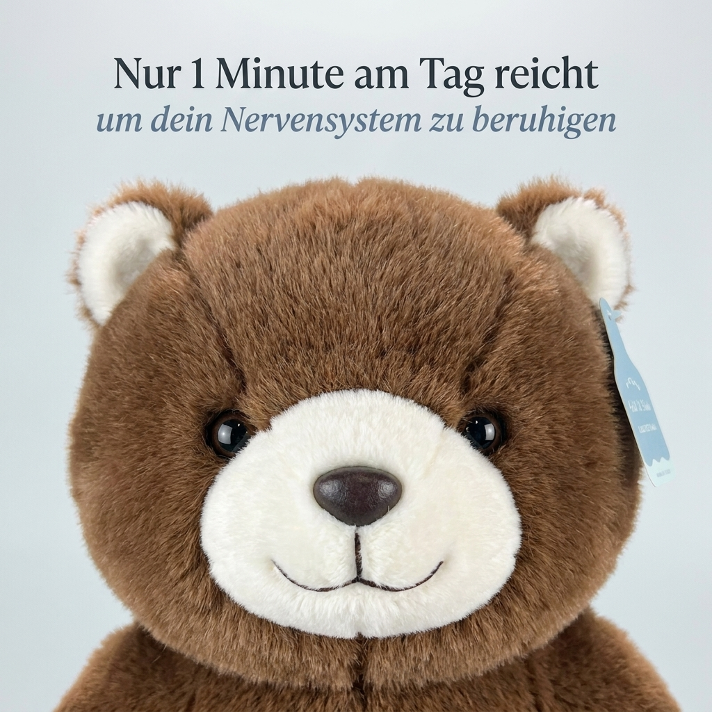Kuschelfreund Braunbär